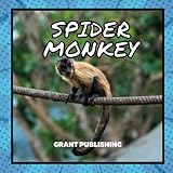 Spider Monkey: Wildlife Books for Kids (Wildlife book for young children)