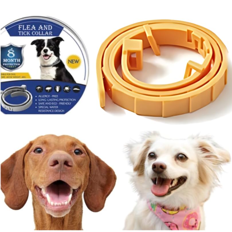 Collar Antiparasitario para Perros Protección contra Pulgas, Garrapatas y Leishmaniosis, 8 Meses de Duración, Seguro, Sin BPA, para Perros Pequeños y Grandes (Naranja)