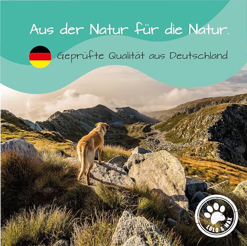 Lolo & Max - Floh- & Zeckenmittel für Hunde 100% Natürlicher Spot On - Bis zu 8 Monate Abwehr & Bekämpfung von Flöhen & Anderen Parasiten (Zecken,Milben,Läuse,Haarlinge,Wanzen) - 40ml