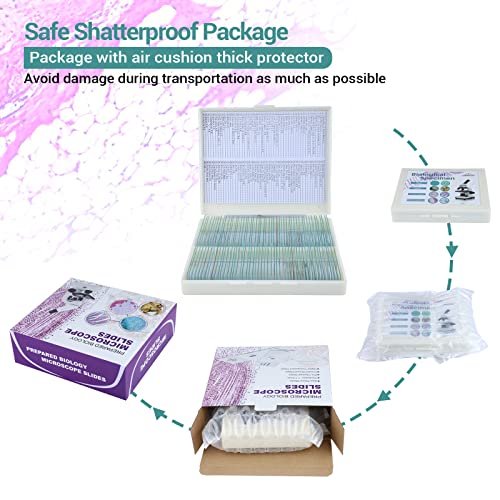 Image of 100Pcs Prepared Microscope Slides with Specimens for Kids Science Learning | Optical Glass Slides with Insect Plant Animal Human Tissue Sample, Students Homeschool Lab Classroom Education