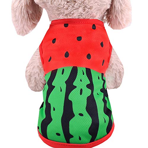 犬服　ハンドメイド　グリーンデイジーの春色タンクトップ 犬服 ハンドメイド グリーンデイジーの春色タンクトップ