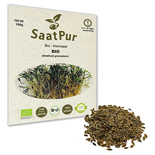 100g BIO Keimsprossen Dill Kressesamen Mikrogrün Mikrogreens Sprossen Grünkraut Superfood
