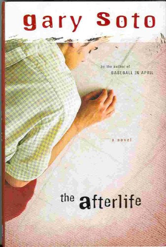 Afterlife view 2