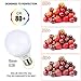 aooshine G25 LED Vanity Bulb 5Watts Globe Light Bulb (60W Incandescent Equivalent),2700K Soft Warm White E26 Base Bathroom Makeup Mirror Lights Bulb, Non-dimmable (Pack of 4)