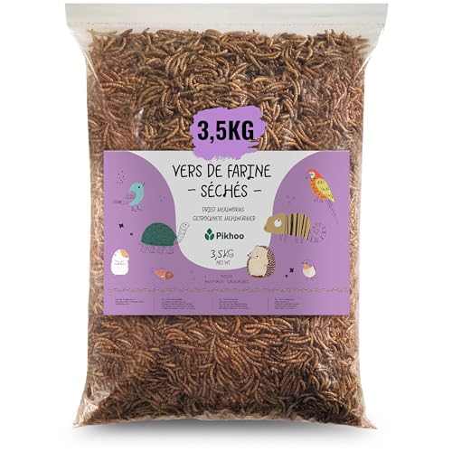 vers de Farine Séchés | 3,5kg | Insectes Comestibles vers de Farine pour Oiseaux du Ciel Insectes séchés Nourriture Oiseaux Exterieur