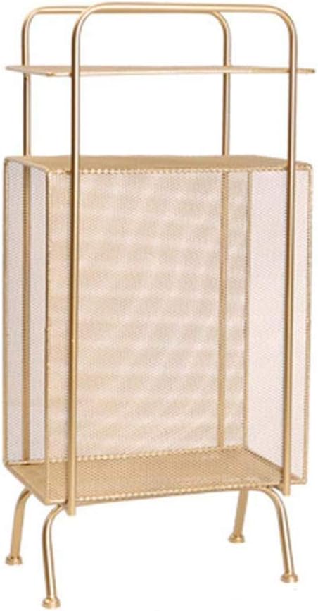 Decorative Metal Wire Magazine Holder, Organizer, Books, Newspapers, Tablets, Laptops in Bathroom, Family Room, Office(E)