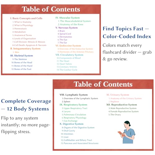 Anatomy and Physiology Flashcards - Double-Sided