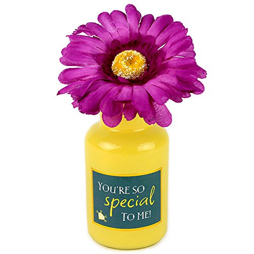 Buy Special Someone Quotation Vase vase Flowers Flower vase with