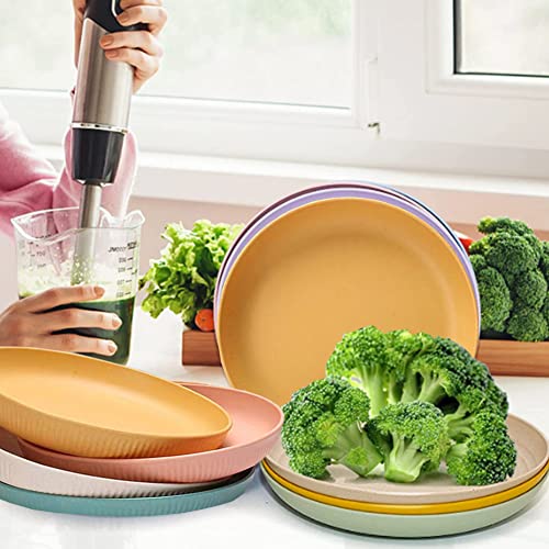 Ruibolu 9 Inch Large Cereal Plates 6 Pieces,Plastic Plates, Unbreakable And Reusable Light Weight Dinner Plates Pasta,Camping Plates, Dinner Plates, And Dumpling Bowl Microwave Safe Bpa Free #TOP1