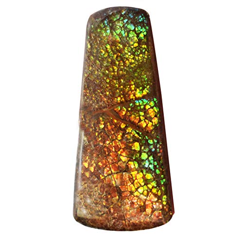 Cabochon fossilisé ammonite et pendentif ammolite naturelle flashy du Canada 32 mm AG-3680