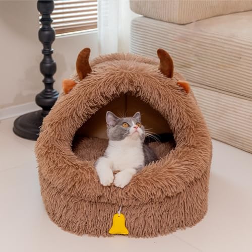 ӂӂ ybgxbh, g I[V[Y Lp pxbh, ^ L K h[^ nEX, ʂݑf (uE, M)