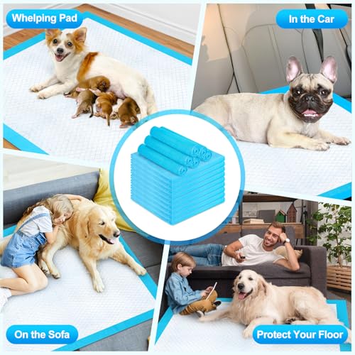 Image of Pee Pads for Dogs & Cats 40 inchx40 inch 40 Count, Puppy Pads Extra Large, Disposable Thicken Pet Training Pads for Doggie Rabbits, Incontinence Underpads Ultra Absorbent & Quick-Dry, Leakproof Potty Pad