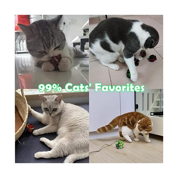 petfavorites Handels, Purple, Green – Bild 7