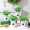 St Patricks Day Decorations 4pcs StPatricks Day Mini Jars with Artificial Shamrock Mini Vases for St Patricks Day Home Kitchen Table Fireplace Mantel Decor
