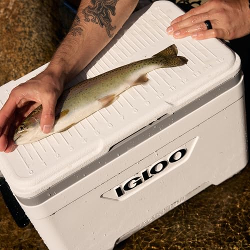 Igloo Marine Cooler 37% Off - Insulated Ice Chest for Camping - Image 7