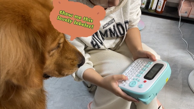 Amazon.com : Vixic Label Makers, Label Maker Machine with
