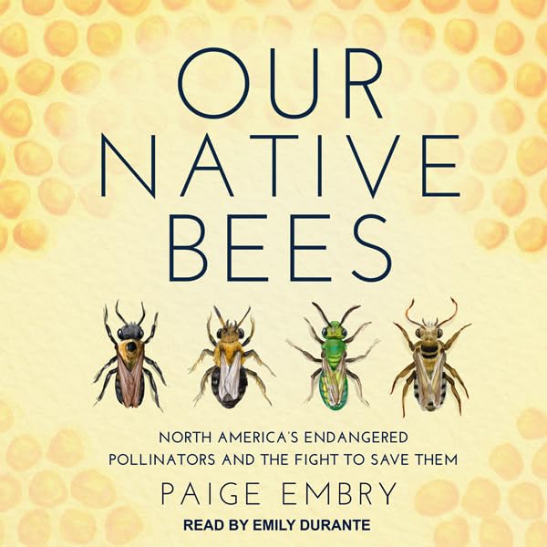 Cover art for Our Native Bees