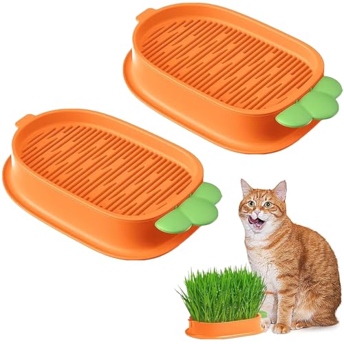 MEZOKUCEL Scatola Per Piantare Erba Per Gatti Vassoio Per Erba Per Gatti Vassoio Per La Germinazione Dei Semi Kit Coltivazione Erba Gatta Biologica Per Animali Domestici