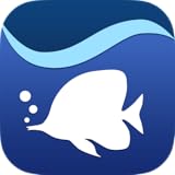 Aqua TV