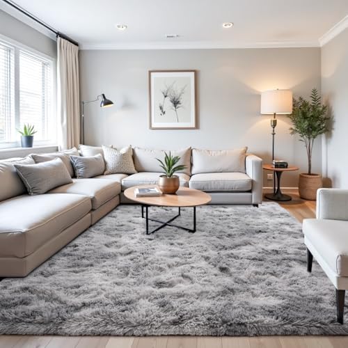 Beglad Shag Rugs for Living Room, Area Rugs 5x7 Feet Upgrade Anti-Skid Modern Minimalist Style...