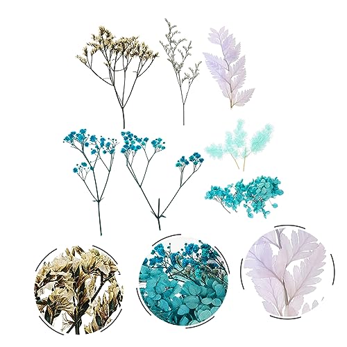 Material de flores secas para manualidades ORFOFE miniatura 5