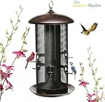 Nature's Rhythm Metal Hopper Bird Feeder Deux chambres, lourd devoir Mesh métal Dual Seed Compartiments Outdoor Hanging Wild Bird Feter avec 10 Ports d'alimentation,10lbs Capacité de semences