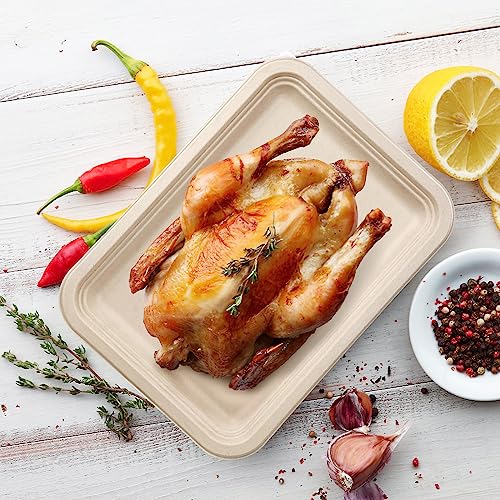 AHKUNMT 10 Pack Disposable Crawfish Trays,14 Inch Food Trays Heavy-Duty Large Paper Platter Plates, Compostable Sugarcane Platters Serving Crawfish, Lobster, Crab, BBQ at Party
