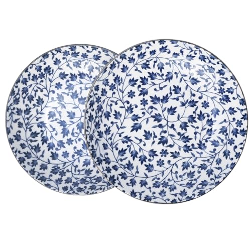 Ceramic Plates Set of 2 – 8-Inch Porcelain Dinner Plates for Kitchen, Microwave, Oven & Dishwasher Safe, 4 Unique Patterns