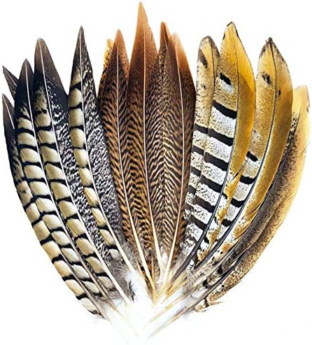 Worldoor 15 pcs Natural Pheasant Feathers for Crafts DIY Feather Tails in 3 Styles 20-25cm