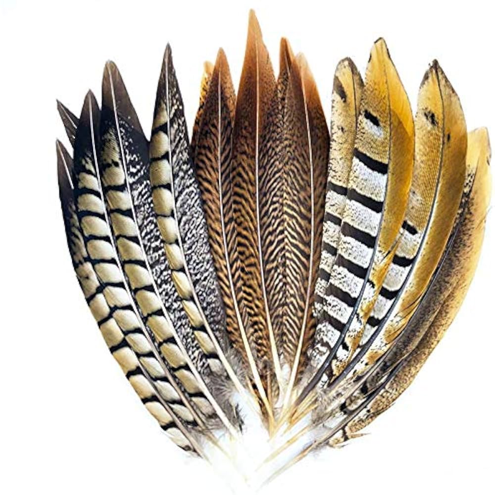 Amazon.co.jp: Worldoor 15個 天然キジの羽 工芸用 DIY フェザー