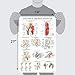Palace Learning Laminated Anatomy and Injuries of the Hip Poster - Hip Joint Anatomical Chart - 18