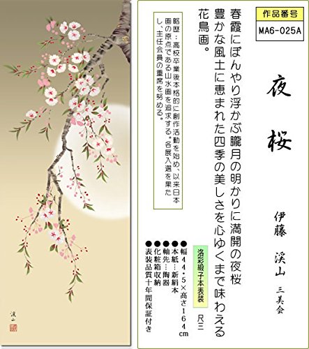 Amazon.co.jp: （株）三幸 掛け軸 掛軸-夜桜/伊藤 渓山（尺三・化粧箱