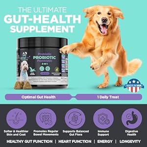   Googipet-Premium-Probiotics-for-Dogs-Dog-Probiotics-and-Digestive-Enzymes-Natural-Dog-Probiotic-Chews-WPrebiotics-Pumpkin-Helps-Dog-Diarrhea-Constipation-Digestion-Allergies-Immunity