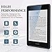 Dadanism Screen Protector Fit Kindle Paperwhite 10th Generation, Eye Protect 4H Hardness Anti-Scratch Film, [2 Pack] PET Anti Blue Light Protective Film Fit Kindle Paperwhite 2018 - Blue