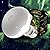 E27 Tortoise Reptile Vivarium Light Beneficial UVA Basking Lamp Heat Bulb 75W