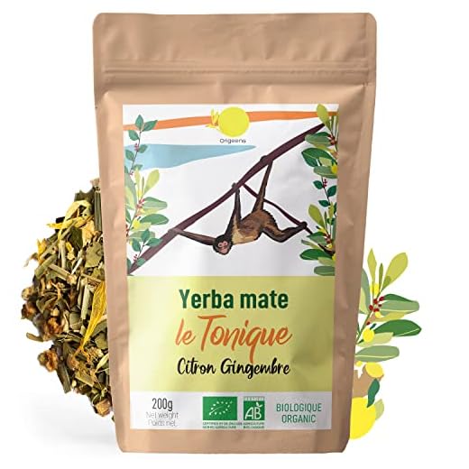 ORIGEENS YERBA MATE BIO CITRON GINGEMBRE 200g | Maté Gingembre Citron Le Tonique | Yerba Maté Bio Non Torréfié Sans Poussière | Boisson Energie et Detox