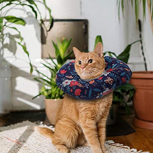 POPETPOP Colar De Recuperação Com Teste Padrão de Flor de Pelúcia Animal de Estimação Colar Isabelin