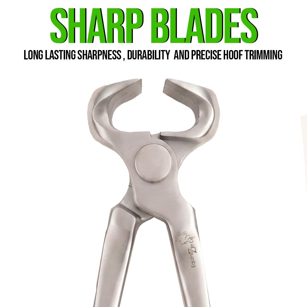 Miniatur Nipper 25,4 cm Hufmesser für Ponys-Vanadium-Stahl Farrier Werkzeug in Dull Finish