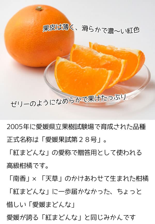 Amazon.co.jp: 愛媛まどんな アイカ (紅まどんな同品種) 3Lサイズ 大玉