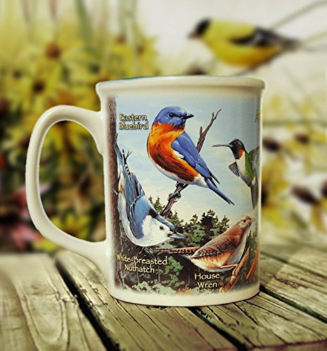 Premium Waterslide Decal Paper Inkjet CLEAR - 20 Sheets - Water Slide Decal Transfer Transparent - A4 Size