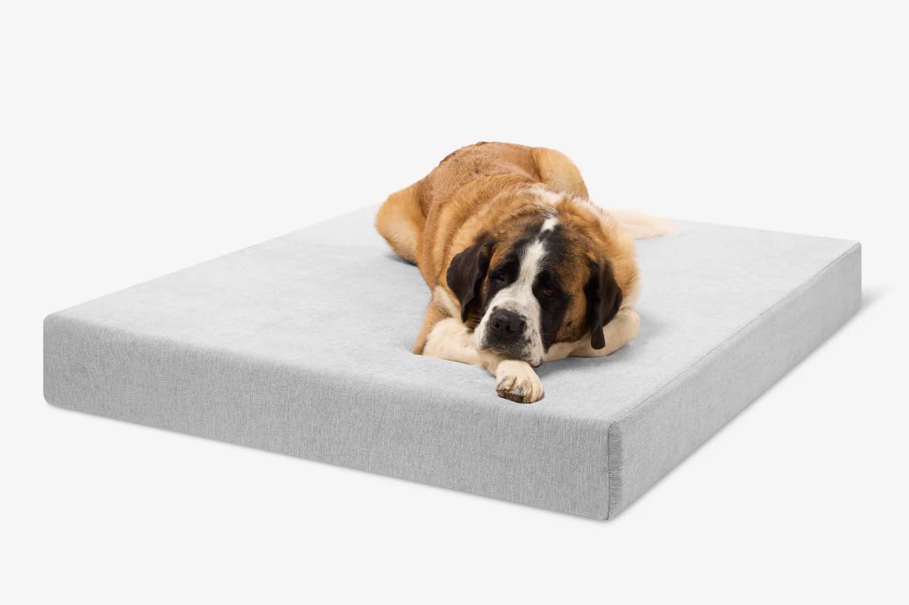 Barker Beds Giant Orthopedic Dog Bed - 7" Memory Foam Mattress - 100-300 lbs - Joint Pain & Arthritis Support - Washable Cover - 60"x48"x7" - Stormcloud Linen