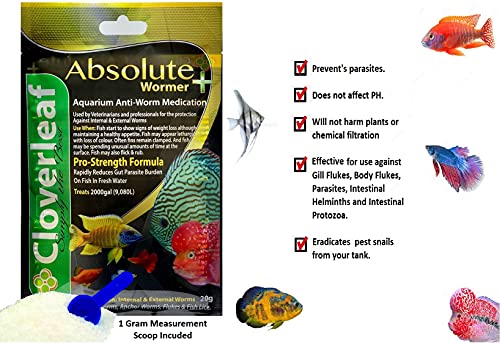 WORMER Plus - Freshwater and Saltwater Fish Powder Medication. Dewormer for Fish with parasites and Flukes. (10G… - Image 3