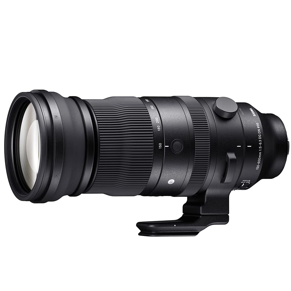 Eマウント用 SIGMA 150-600mm F5-6.3 DG DN OS Sigma 150-600mm F5-6.3 DG DN OS Sports Review | Photography Blog