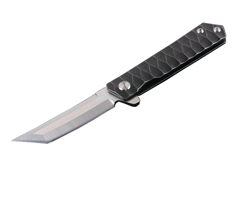 Masalong Survival Tactical Titanium Handle D2 Blade Pocket Hunting Outdoor Folding Knife (A2)