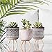 TERESA'S COLLECTIONS Modern Artificial Potted Plants for Home Decor, Boho Indoor Small Fake Plants, Faux Succulents in Ceramic Planter for Bathroom, Shelf, Office Desk, Gift Choice, 5x3 inches -3PCS