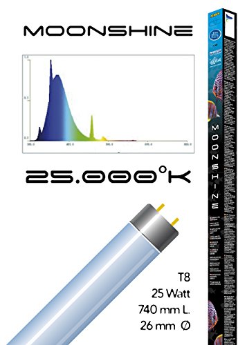 Haquoss Moonshine Lampada 25 Watt/740mm, T8