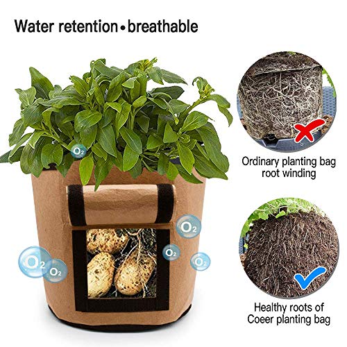 Tenrany Home 3 Pack Plant Grow Bag, 10 Gallon Fabric Potato Growing Bags with Visualized Window, Large Vegetables Planters Pots Container for Garden Nursery Plants (10 Gallon, Multi)
