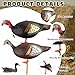 Poen 2 Pcs Collapsible Turkey Decoys for Hunting Lookout Standing Lifelike Lightweight Realistic Hunting Turkey Decoy Hen with Stake for Field, Forest, Wood, Ground, Outdoor, 13.4 x 5.5 x 6.7 Inches