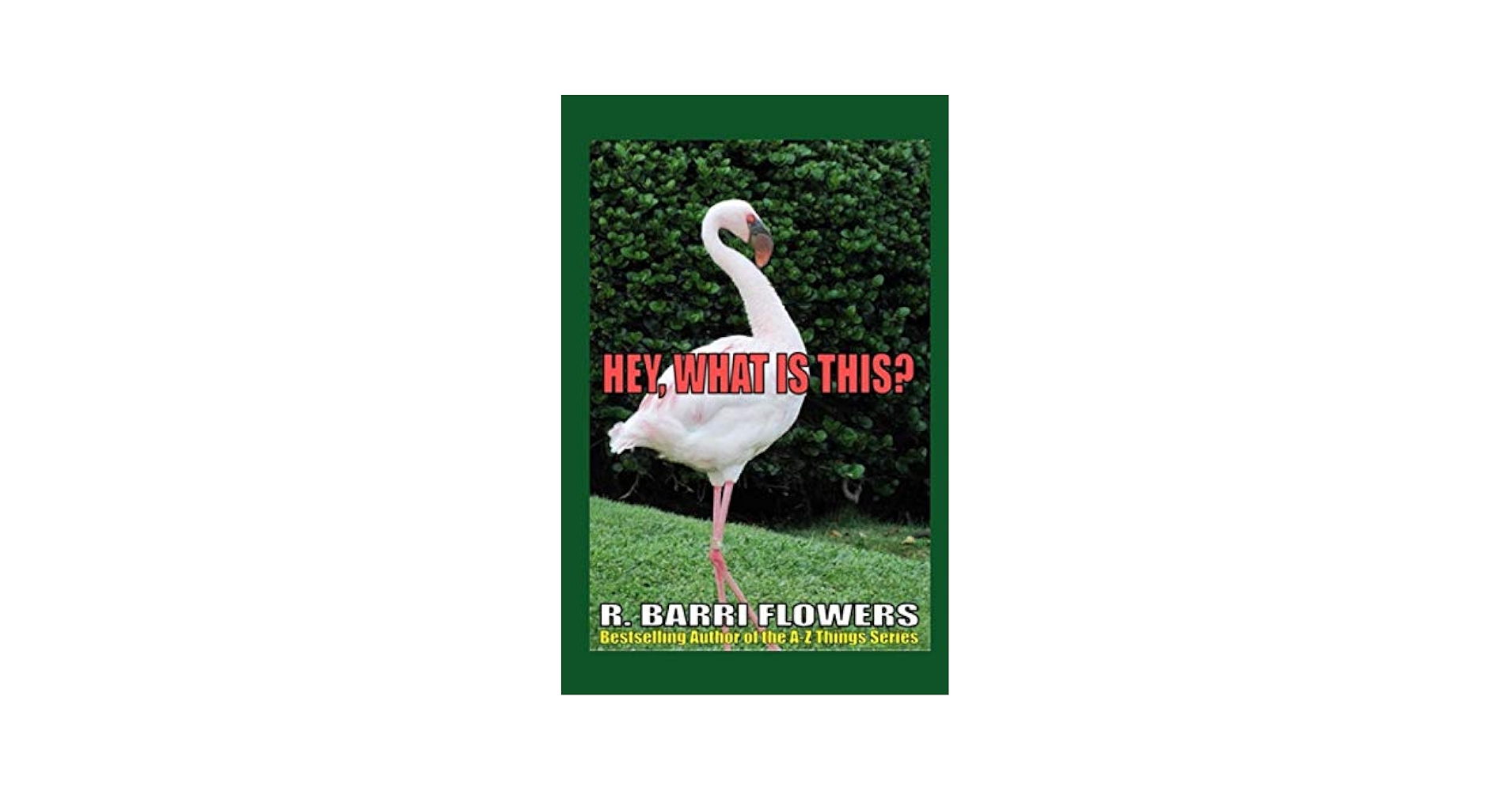 Amazon.co.jp: Hey, What is This? (A Children's Picture Book