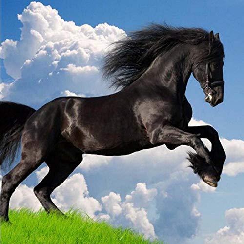 Benutzerdefinierte Fototapete 3D Stereoscopic Black Horse Leaps Fototapete Blauer Himmel Tapeten Living Sofa Tv Hintergrund-140X100Cm (56 *